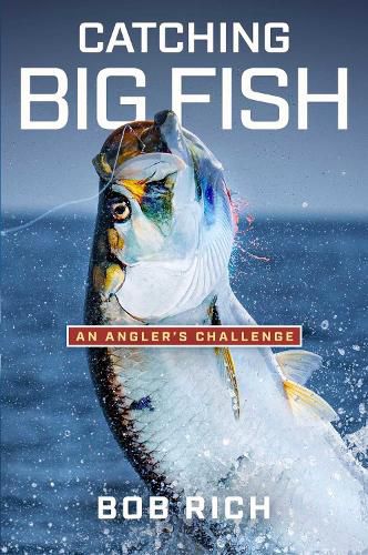 Cover image for Catching Big Fish