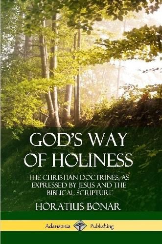 Cover image for God's Way of Holiness: The Christian Doctrines, as Expressed by Jesus and the Biblical Scripture