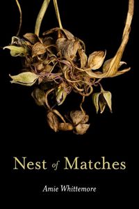 Cover image for Nest of Matches