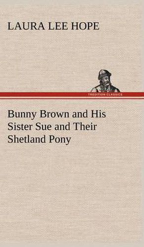 Bunny Brown and His Sister Sue and Their Shetland Pony