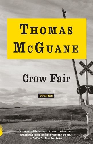 Cover image for Crow Fair: Stories