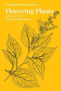 Cover image for Flowering Plants: Asteraceae