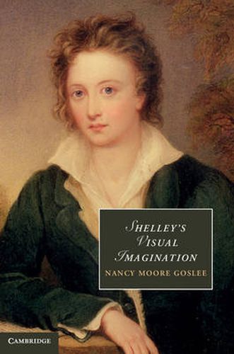 Cover image for Shelley's Visual Imagination