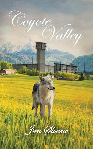 Cover image for Coyote Valley