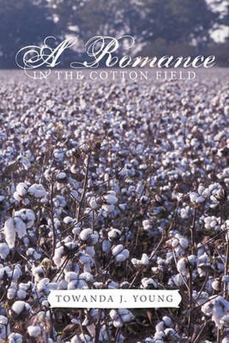 Cover image for A Romance in The Cotton Field