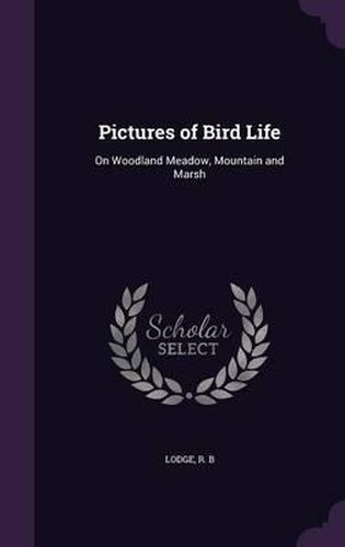 Pictures of Bird Life: On Woodland Meadow, Mountain and Marsh