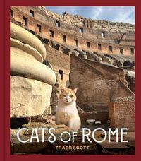 Cover image for Cats of Rome