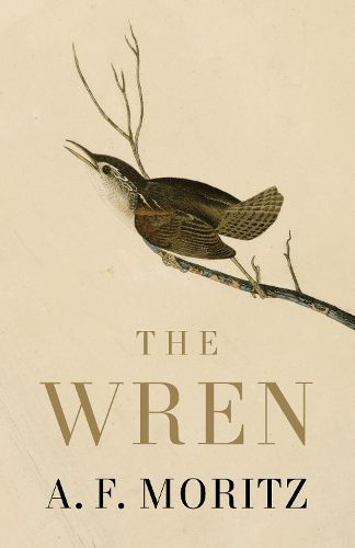 Cover image for The Wren