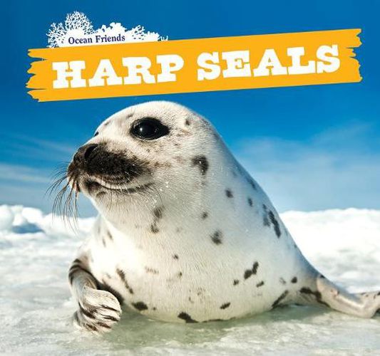 Cover image for Harp Seals