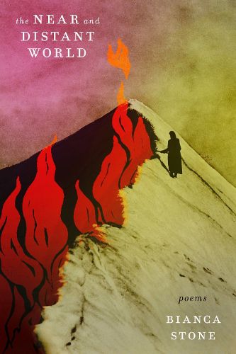 Cover image for The Near and Distant World