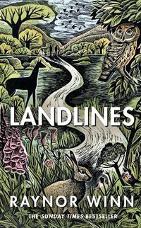 Cover image for Landlines