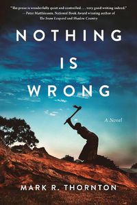 Cover image for Nothing Is Wrong