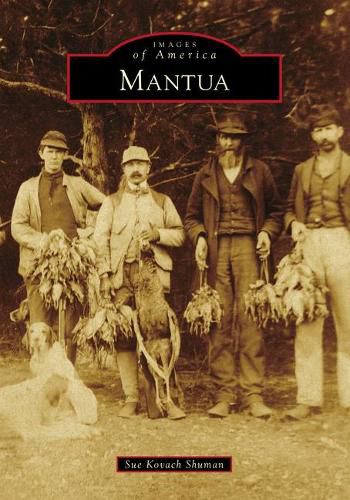 Cover image for Mantua