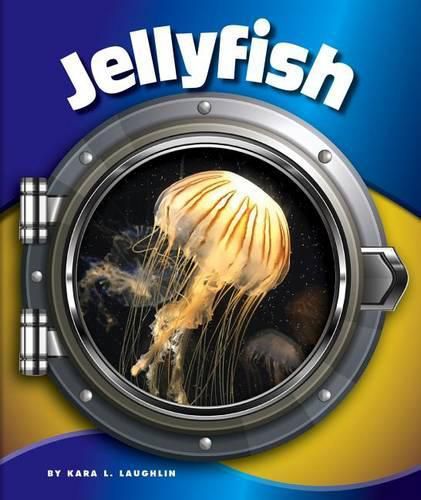 Jellyfish