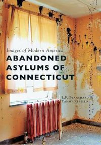 Cover image for Abandoned Asylums of Connecticut