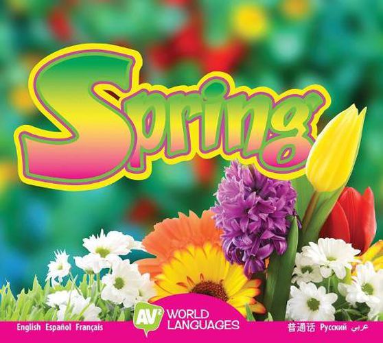 Cover image for Spring