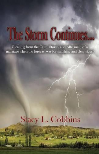 Cover image for The Storm Continues...: Gleaning from the Calm, Storm, and Aftermath of a marriage when the forecast was for sunshine and clear skies!