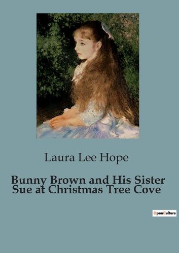 Cover image for Bunny Brown and His Sister Sue at Christmas Tree Cove