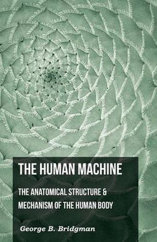 Cover image for The Human Machine - The Anatomical Structure & Mechanism of the Human Body