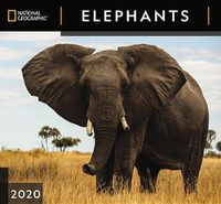 Cover image for Cal 2020-National Geographic Elephants Wall