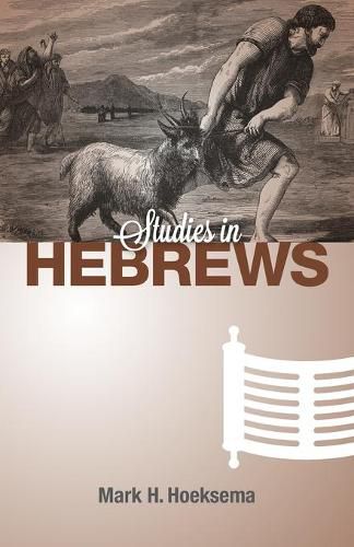 Cover image for Studies in Hebrews