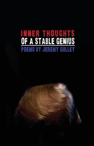 Cover image for Inner Thoughts of a Stable Genius