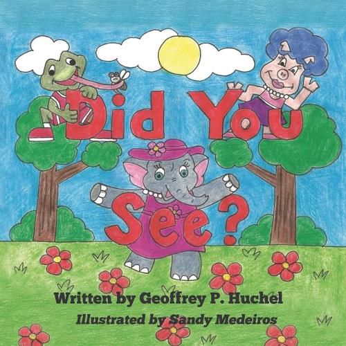 Cover image for Did You See?