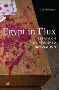 Cover image for Egypt in Flux: Essays on an Unfinished Revolution