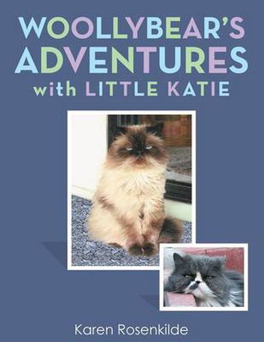 Cover image for Woollybear's Adventures with Little Katie