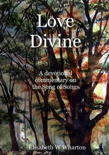 Cover image for Love Divine