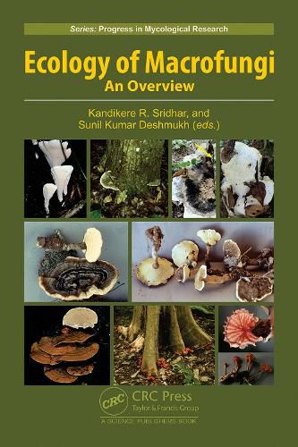 Cover image for Ecology of Macrofungi