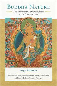 Cover image for Buddha Nature: The Mahayana Uttaratantra Shastra with Commentary