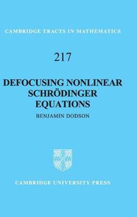 Cover image for Defocusing Nonlinear Schroedinger Equations