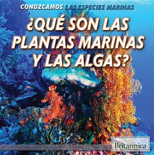 Cover image for ?Que Son Las Plantas Marinas Y Las Algas? (What Are Sea Plants and Algae?)