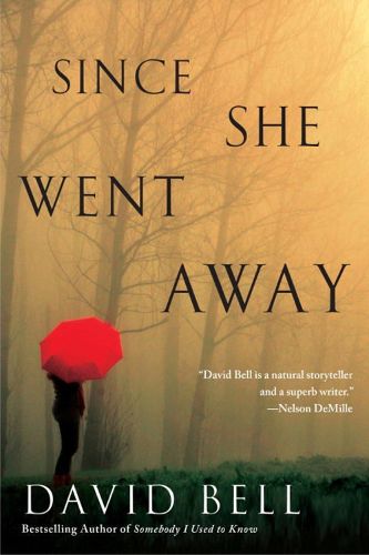 Cover image for Since She Went Away