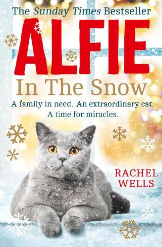 Cover image for Alfie in the Snow