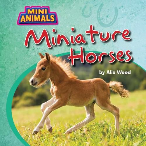 Cover image for Miniature Horses