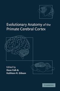 Cover image for Evolutionary Anatomy of the Primate Cerebral Cortex