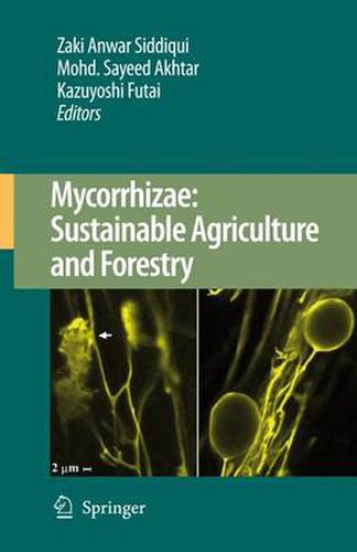 Cover image for Mycorrhizae: Sustainable Agriculture and Forestry