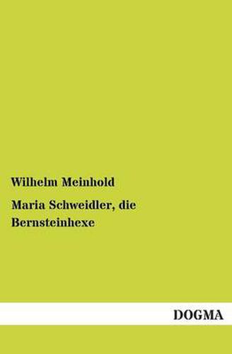 Cover image for Maria Schweidler, die Bernsteinhexe