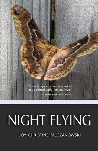 Cover image for Night Flying