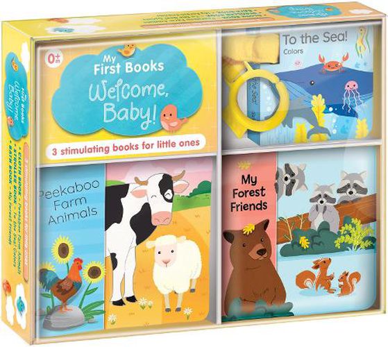 Cover image for My First Books: Welcome, Baby!: Three Stimulating Books in One Box: Bath Book, Cloth Book, Stroller Book