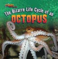 Cover image for The Bizarre Life Cycle of an Octopus