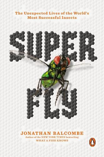 Super Fly: The Unexpected Lives of the World's Most Successful Insects