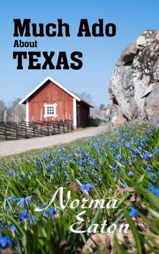 Cover image for Much Ado About Texas