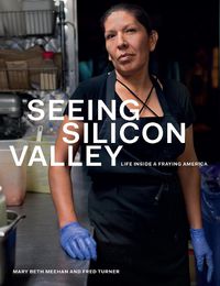 Cover image for Seeing Silicon Valley: Life Inside a Fraying America