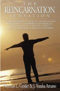 Cover image for The Reincarnation Sensation