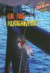 Cover image for Oil Rig Roughneck