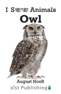 Cover image for Owl