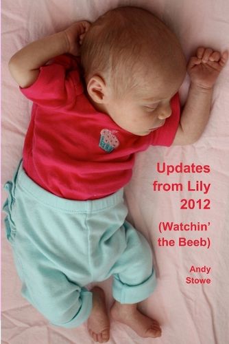 Cover image for Updates from Lily 2012